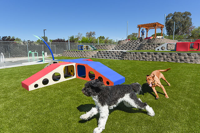 Livermore CA Area | The Ranch Pet Resort
